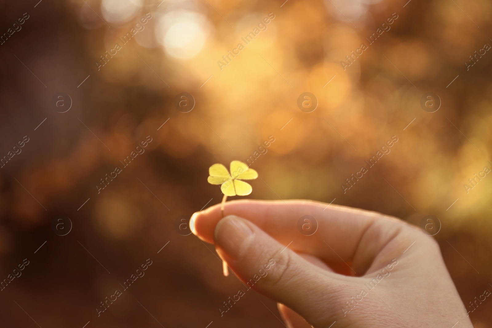 Photo of Woman holding green clover in autumn forest