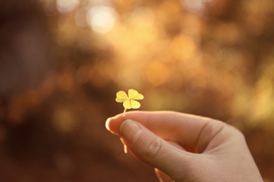 Photo of Woman holding green clover in autumn forest