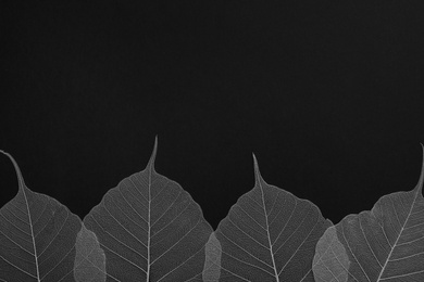 Photo of Beautiful decorative skeleton leaves and space for text on black background, flat lay