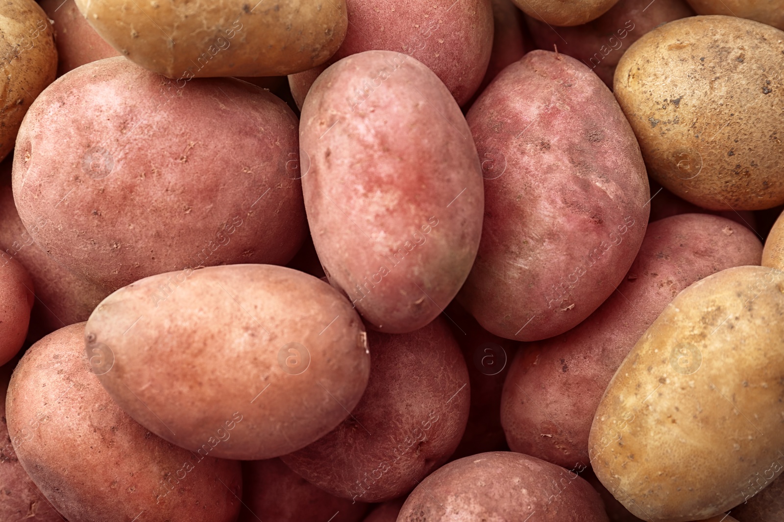 Photo of Fresh ripe organic potatoes as background, top view