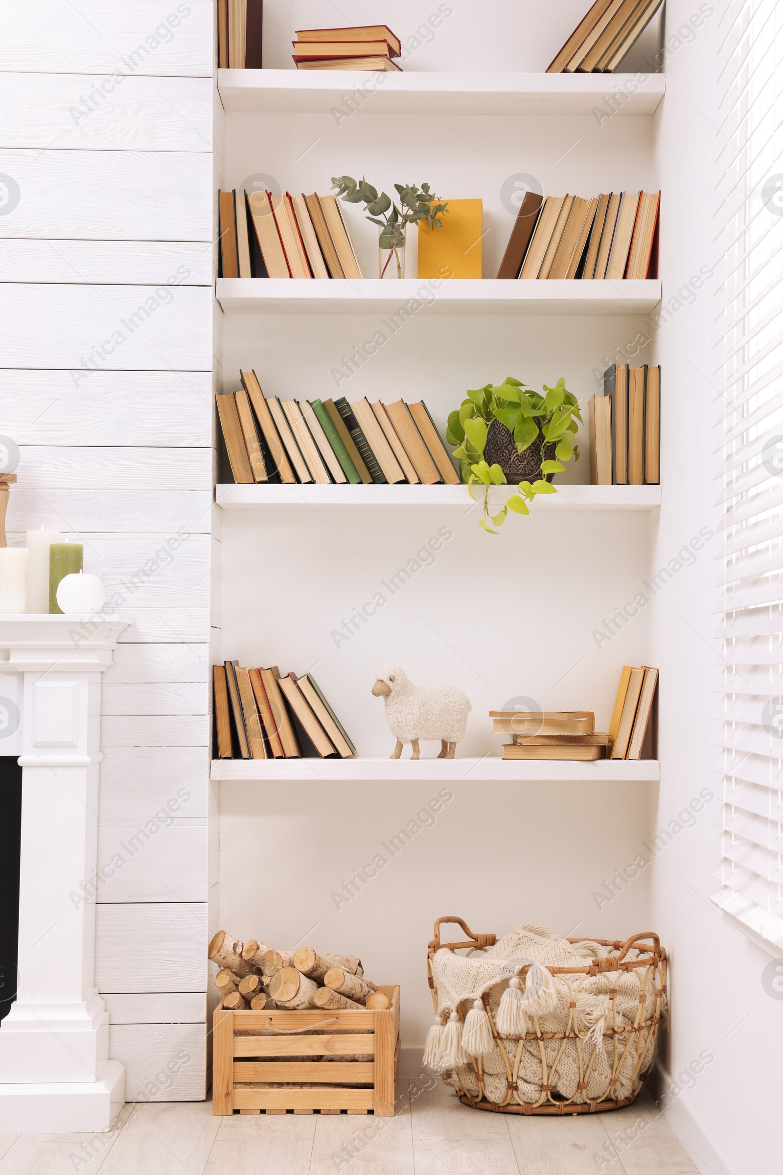 Photo of Collection of books and decor elements on shelves indoors. Interior design