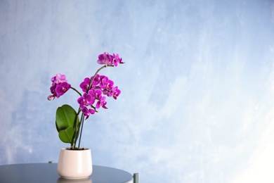 Photo of Flowerpot with blooming orchid on table against blue background, space for text