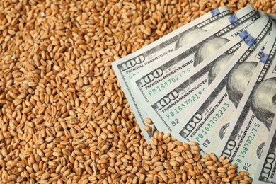 Dollar banknotes on wheat grains, closeup. Agricultural business