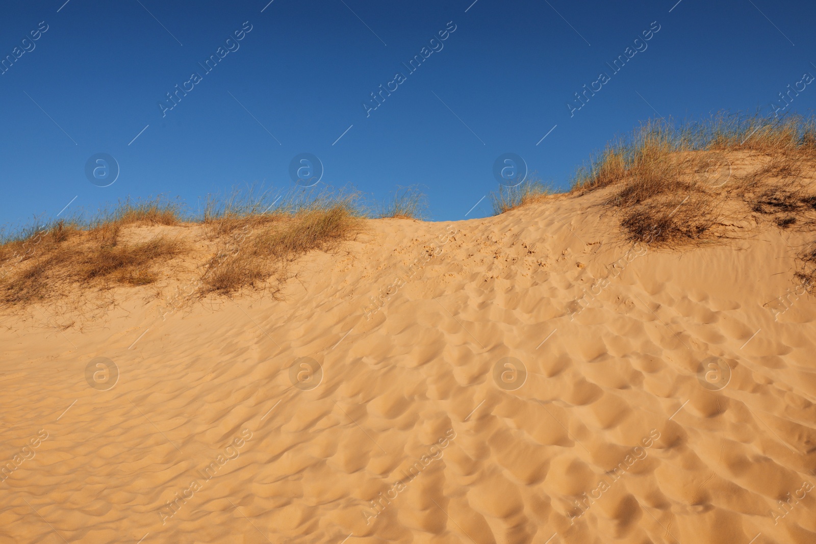 Photo of Picturesque view of desert on sunny day