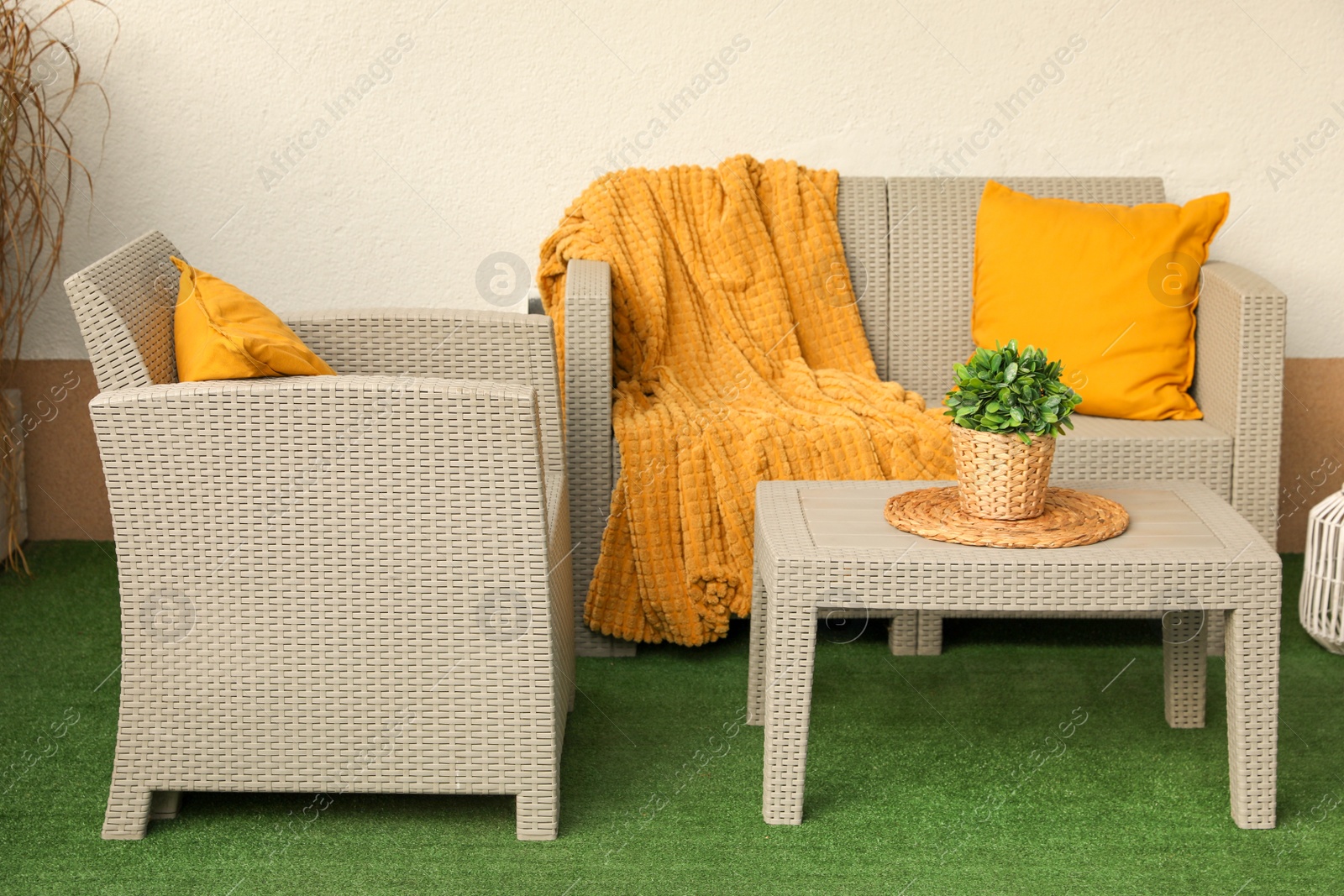 Photo of Beautiful rattan garden furniture, soft pillows, blanket and houseplant near white wall