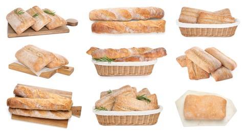 Set with fresh delicious ciabattas and baguettes on white background 