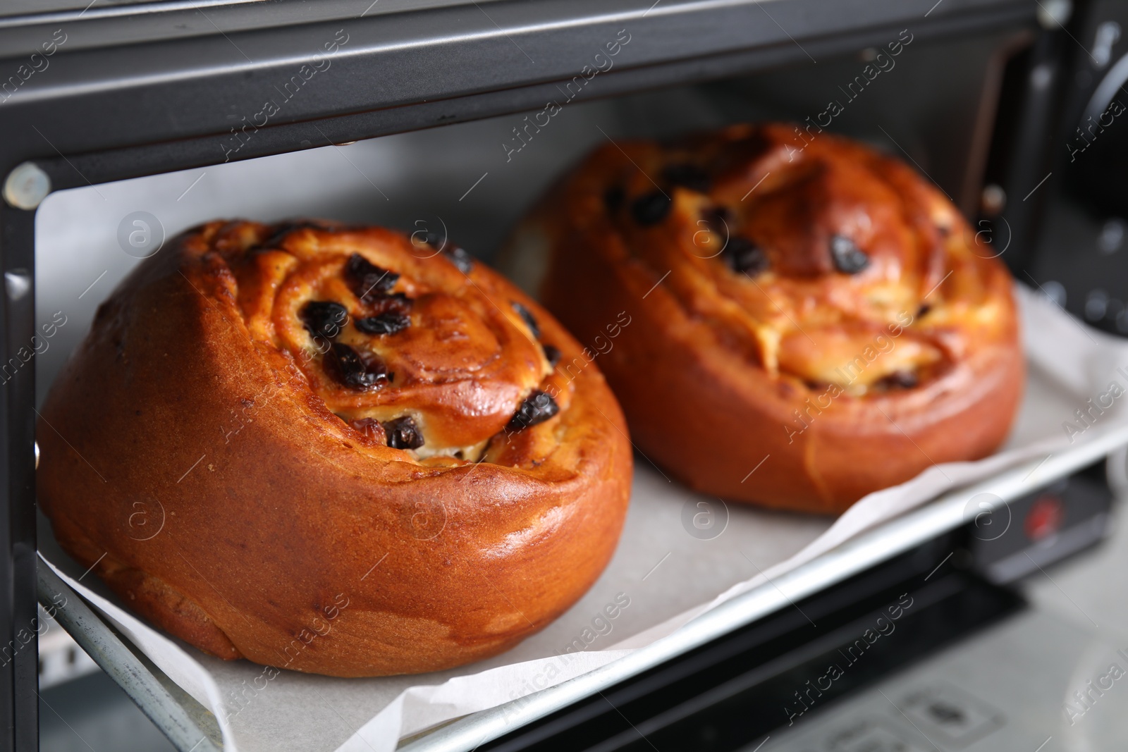 Photo of Delicious rolls with raisins on baking tray in oven, closeup. Cooking sweet buns