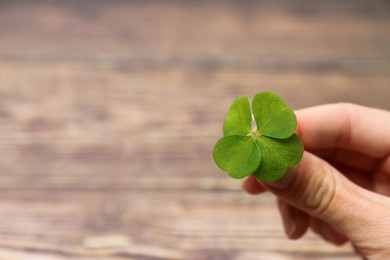 Woman holding green four leaf clover on wooden background, closeup. Space for text