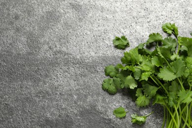 Bunch of fresh aromatic cilantro on grey table, top view. Space for text