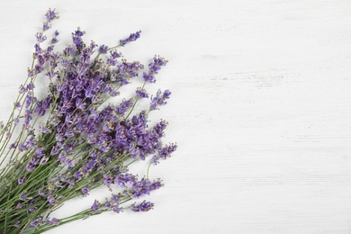 Photo of Beautiful blooming lavender flowers on light background, top view