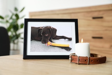 Photo of Frame with picture of dog, collar and burning candle on wooden table indoors. Pet funeral