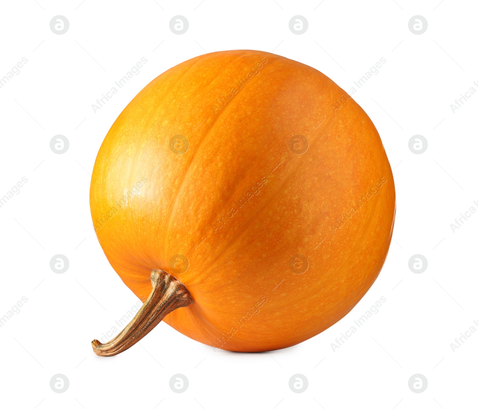 Photo of One fresh orange pumpkin isolated on white