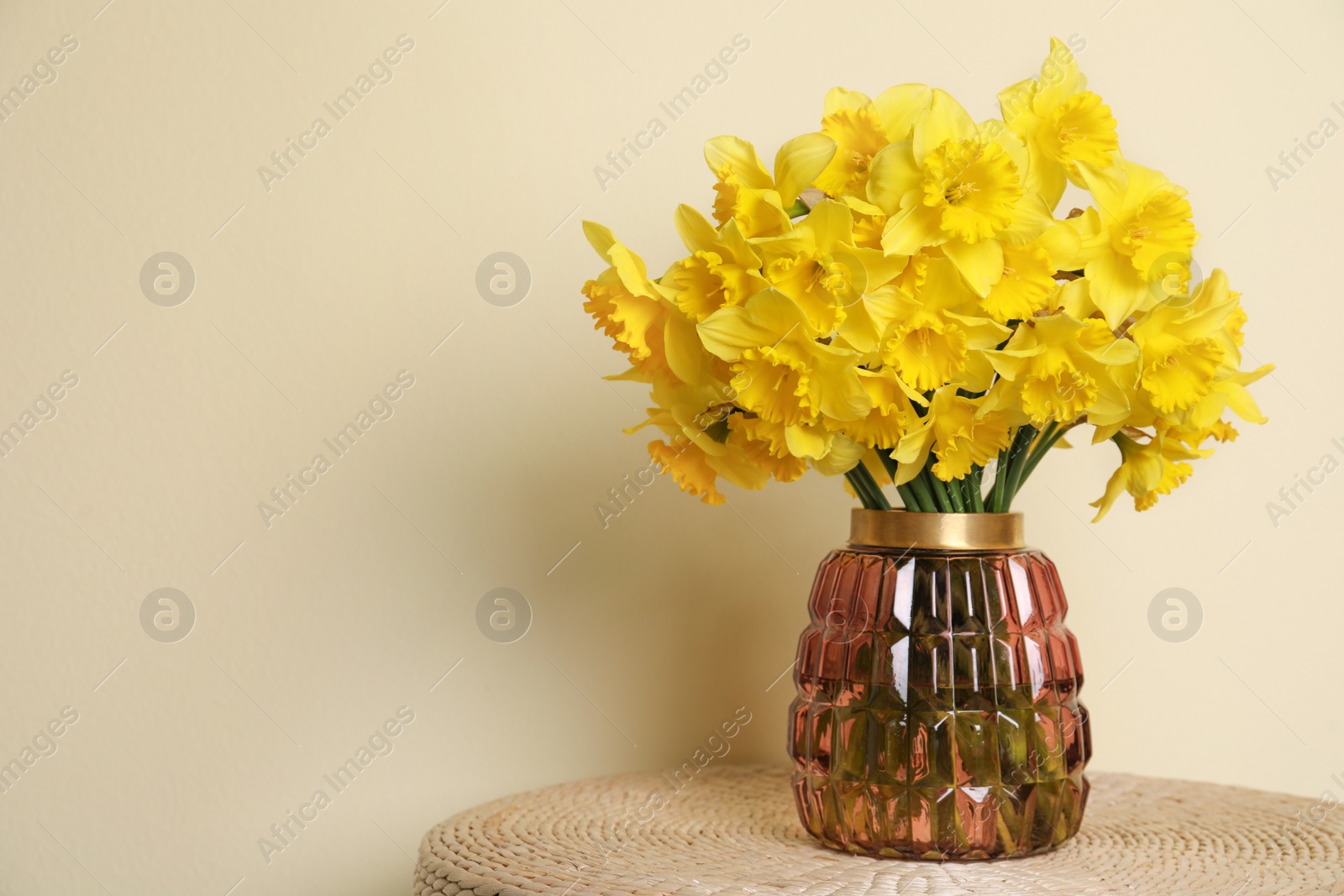 Photo of Beautiful daffodils in vase on wicker table near light wall, space for text