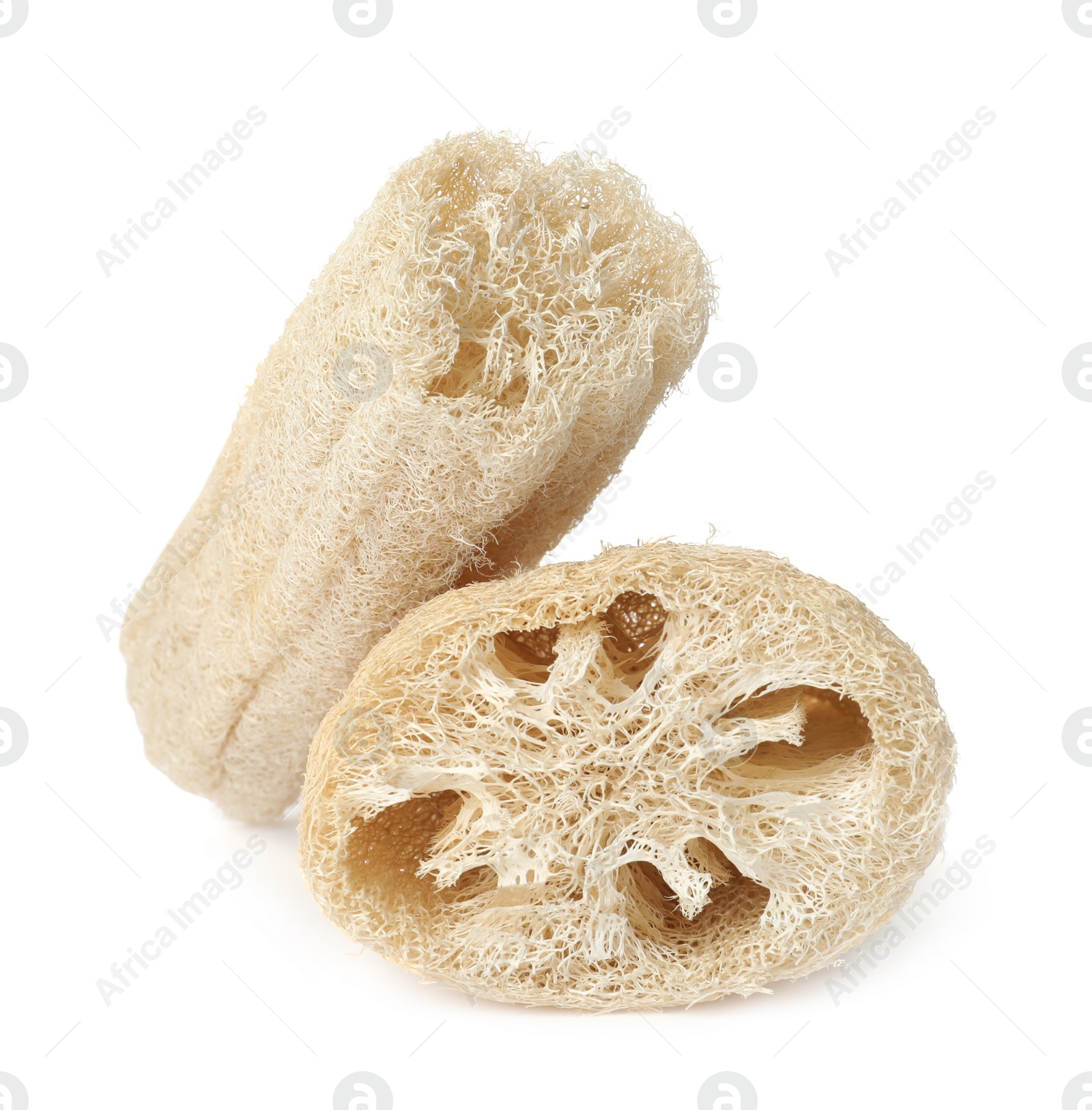 Photo of Natural shower loofah sponges on white background