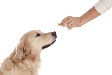 Photo of Woman giving bone shaped pill to cute dog on white background, closeup. Vitamins for animal