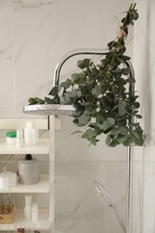 Photo of Branches with green eucalyptus leaves in shower