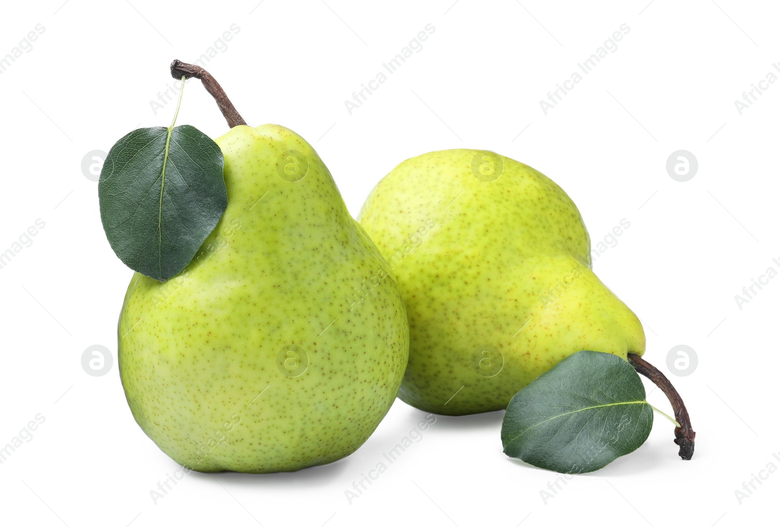 Photo of Fresh ripe pears with green leaves on white background