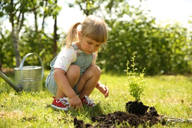 Photo of Cute little girl planting tree in garden