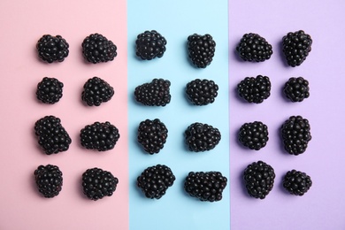 Flat lay composition with ripe blackberries on color background