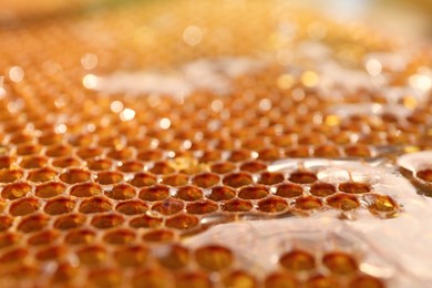 Photo of Uncapped filled honeycomb as background, closeup view
