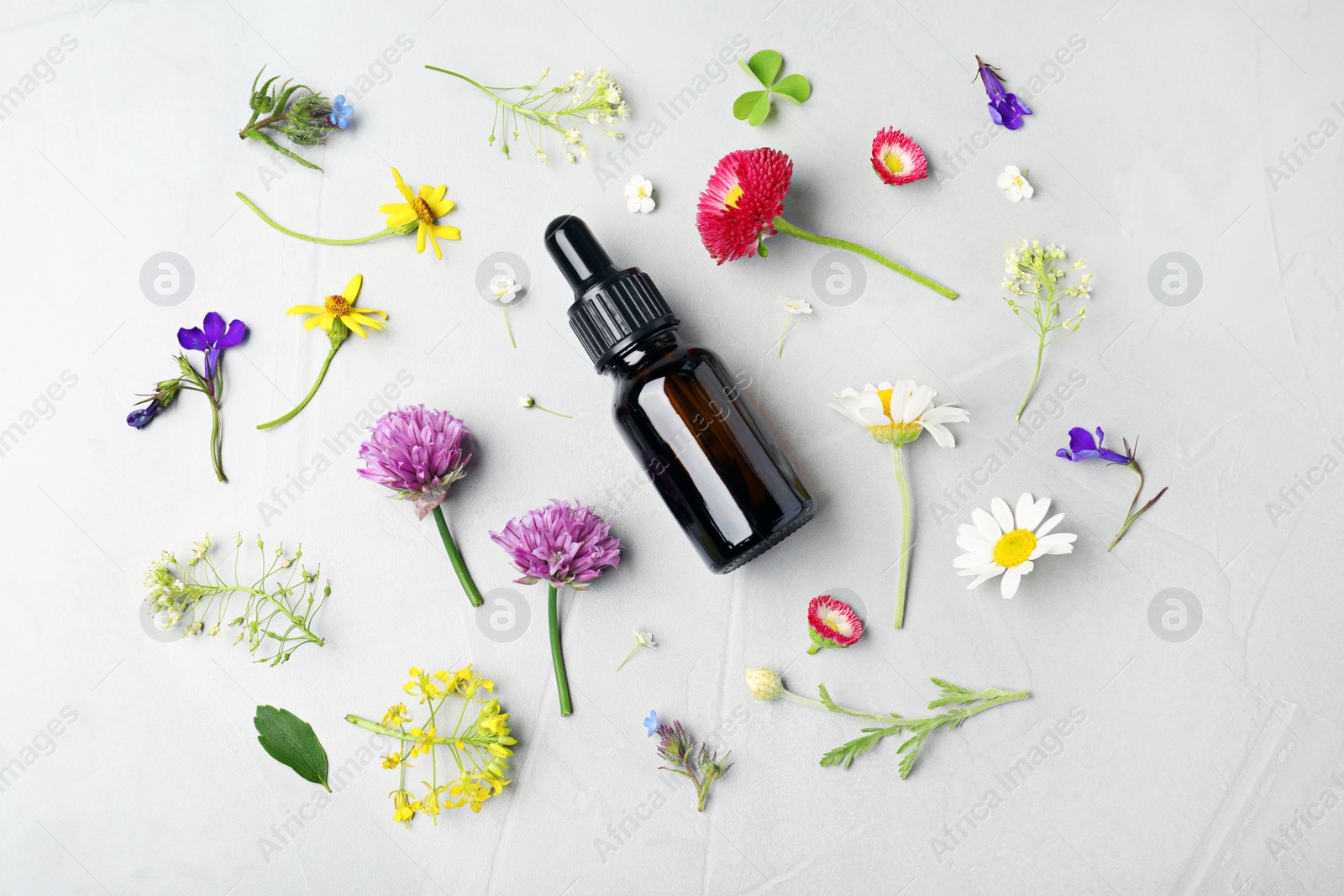 Photo of Bottle of essential oil and different flowers on grey background, flat lay