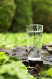 Glass of fresh water on wooden stump in green grass outdoors. Space for text