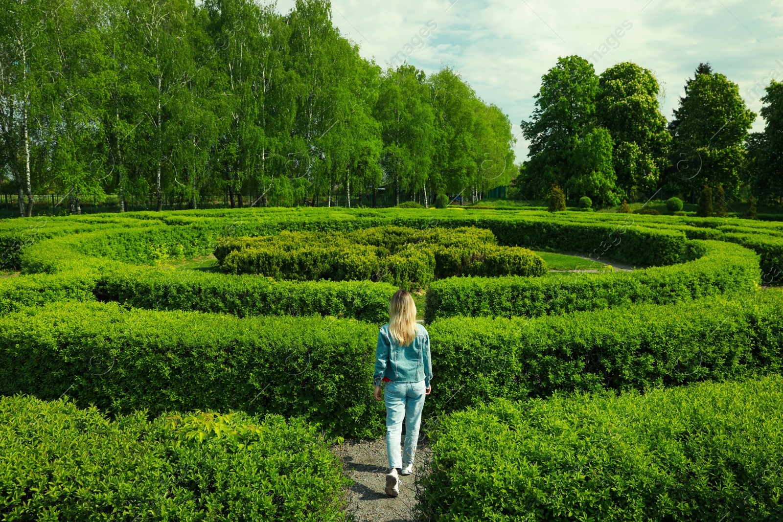 Photo of Young woman in hedge maze on sunny day, back view