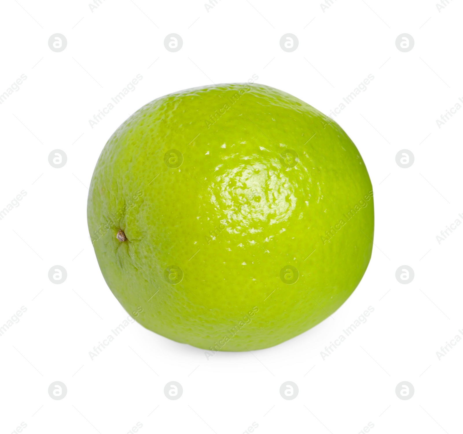 Photo of Citrus fruit. One fresh lime isolated on white