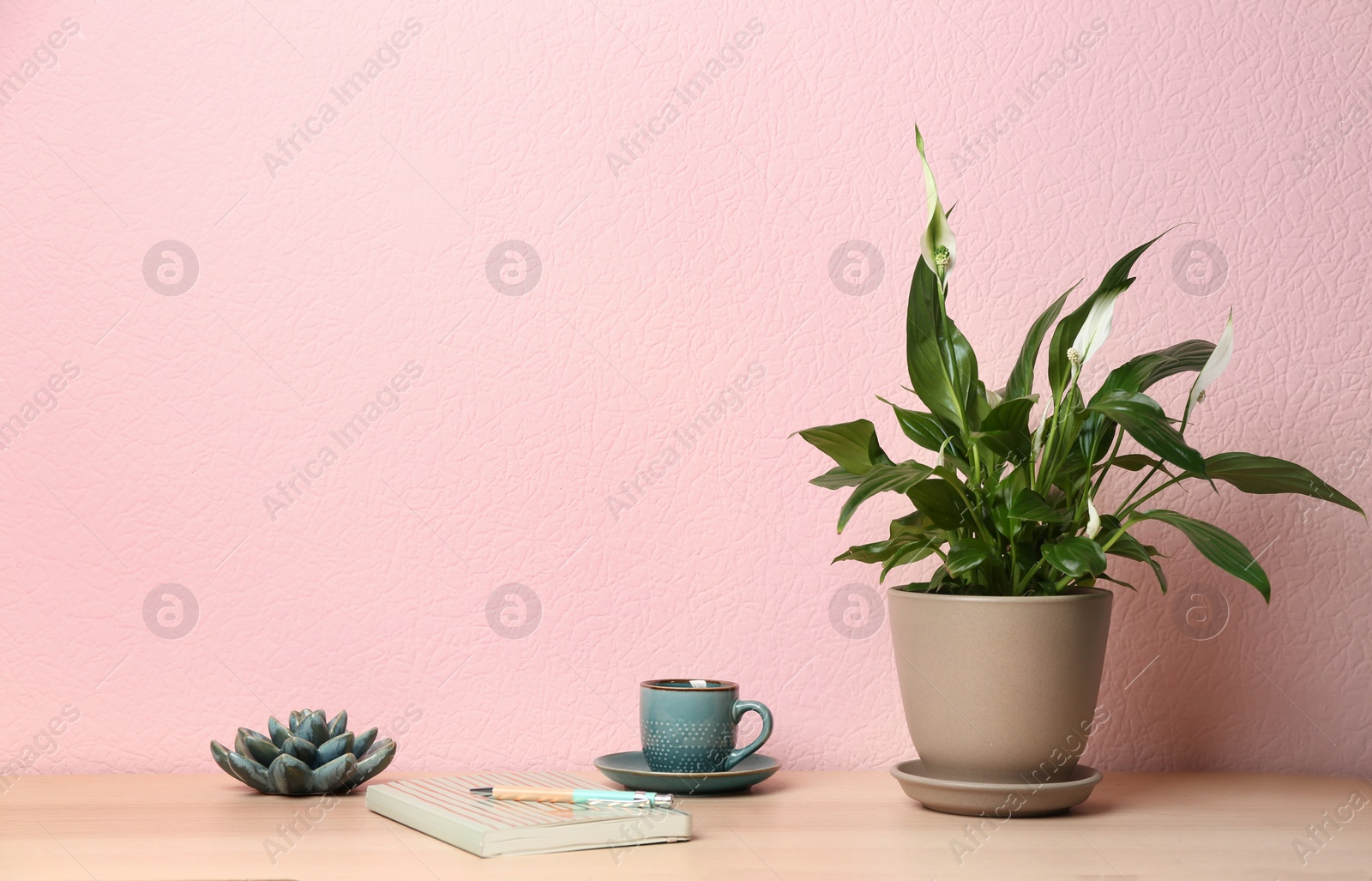 Photo of Potted peace lily plant, cup and notebook on wooden table near color wall. Space for text