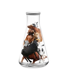 Small cows in laboratory flask on white background. Cultured meat concept