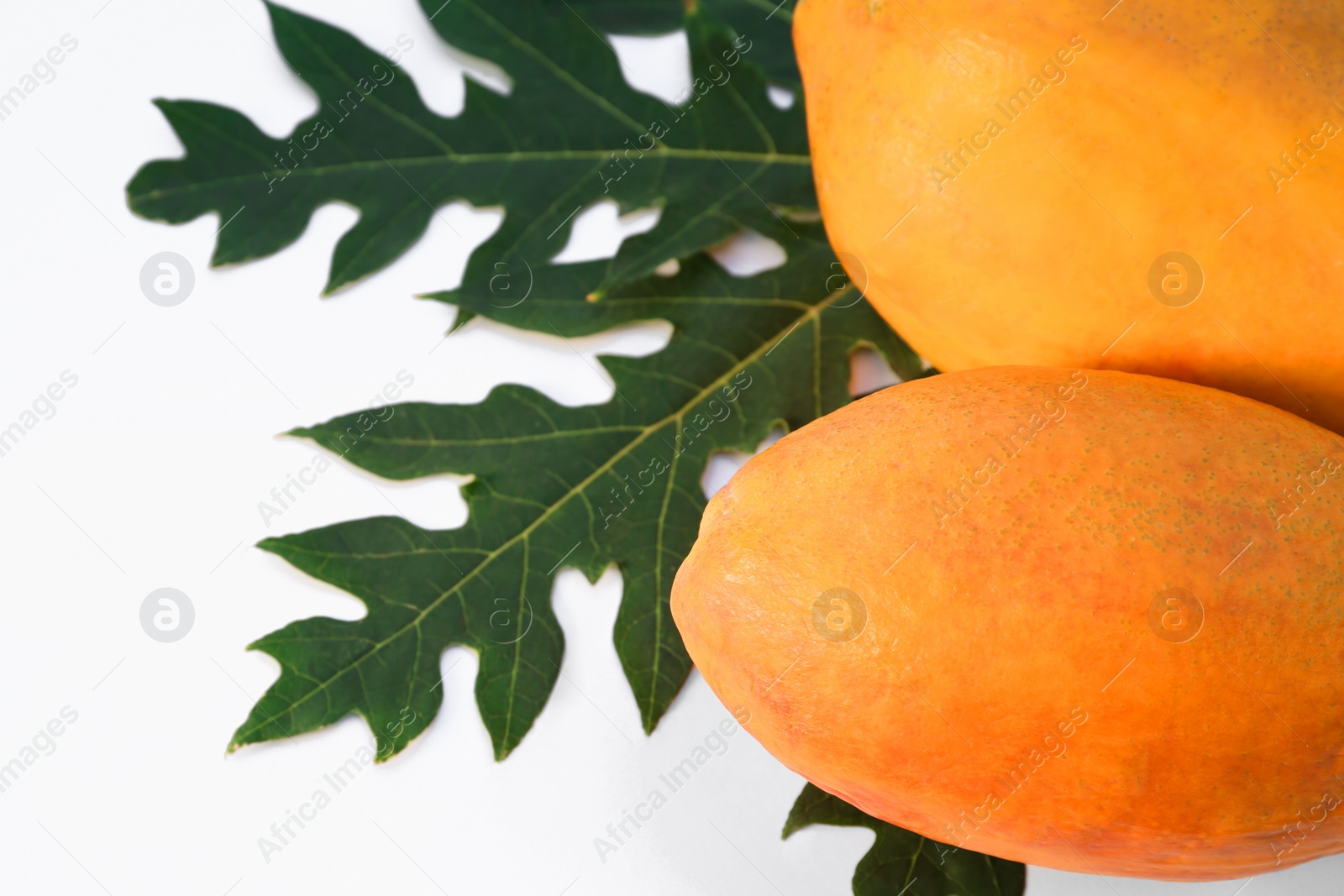 Photo of Fresh ripe papaya fruits and leaf on white background, flat lay. Space for text