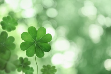 Image of Beautiful fresh green clover leaf on blurred background, space for text 