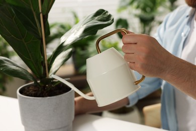 Photo of Man watering beautiful potted houseplants at table indoors, closeup