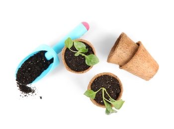 Photo of Vegetable seedlings in peat pots and plastic scoop with soil isolated on white, top view