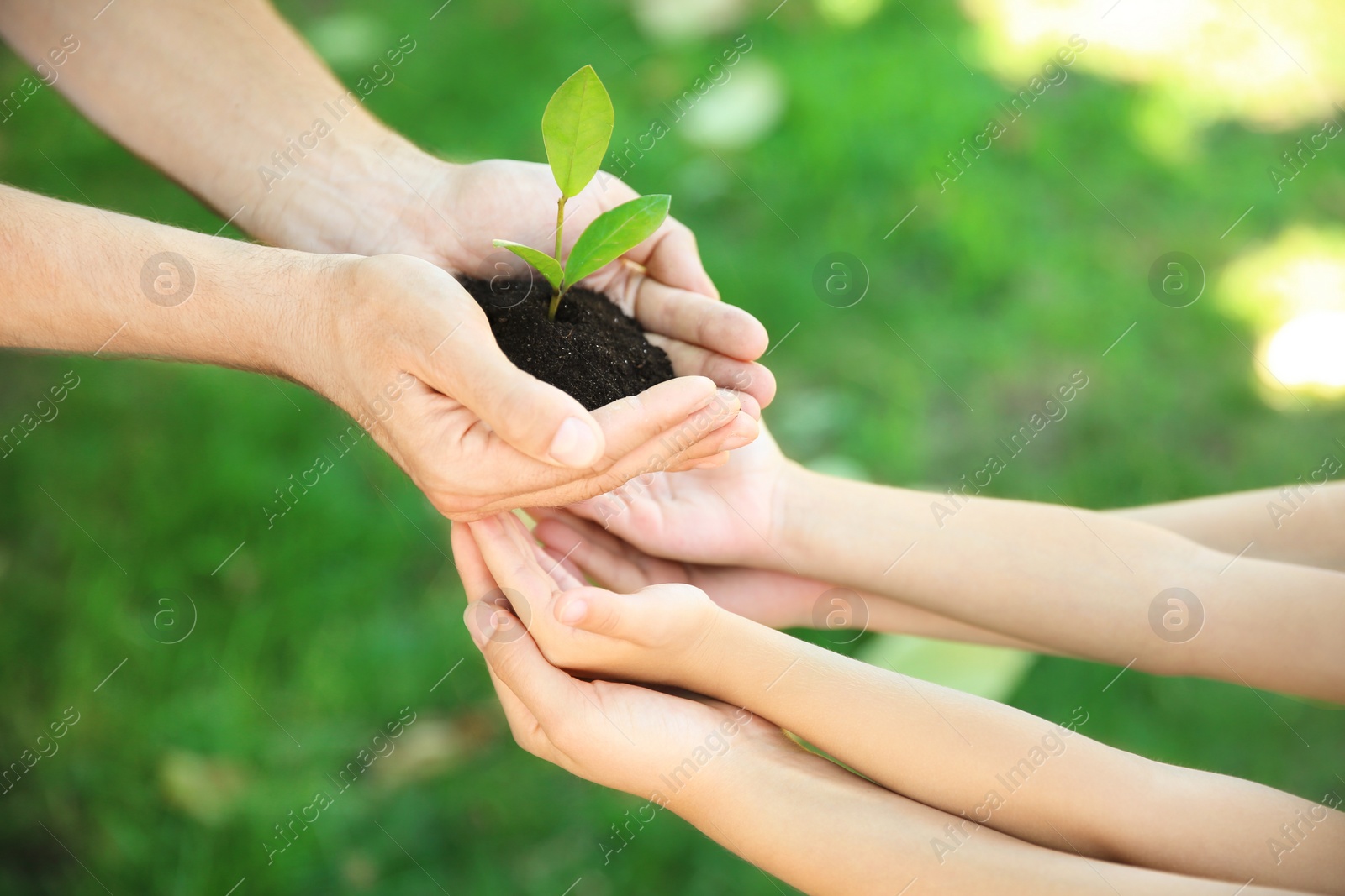 Photo of Man passing soil with green plant to his family on blurred background