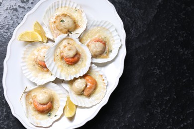 Fried scallops in shells and lemon on black textured table, top view. Space for text