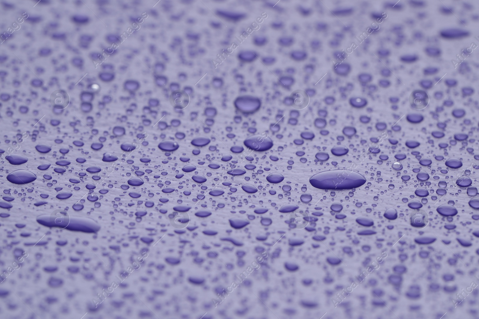 Photo of Water drops on lilac background, closeup view