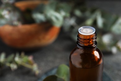 Photo of Bottle of eucalyptus essential oil against blurred background, closeup and space for text