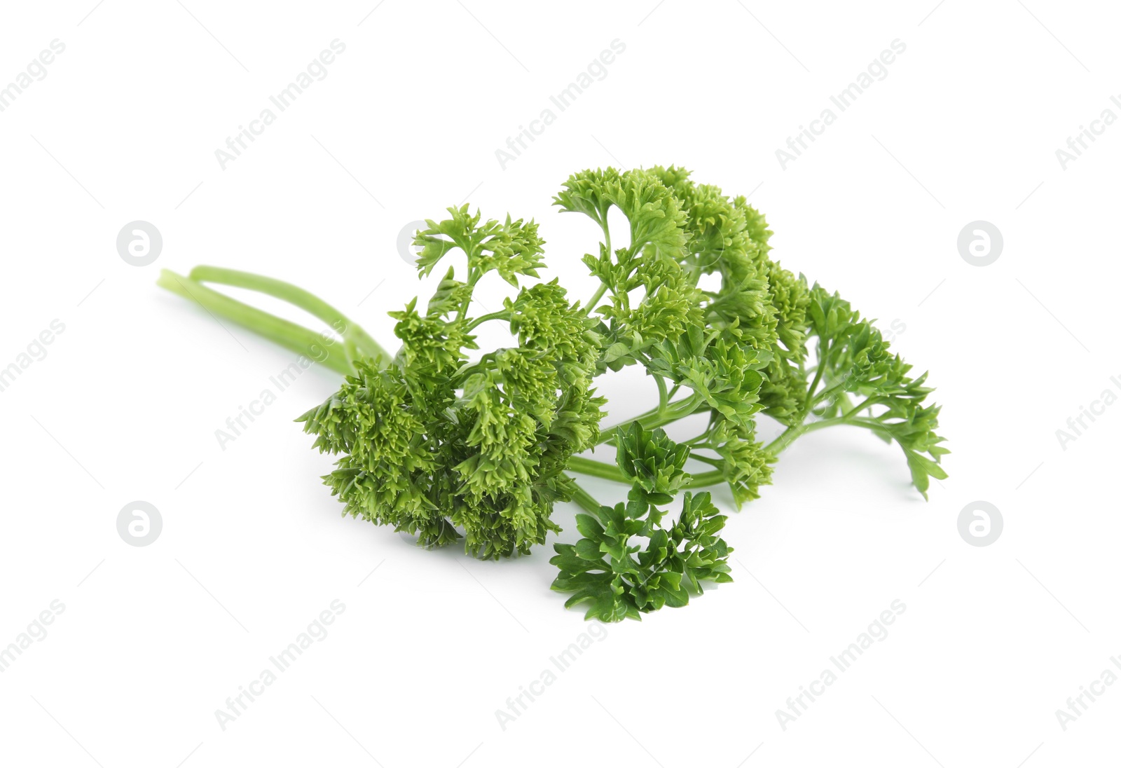 Photo of Fresh green organic parsley on white background