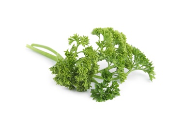 Photo of Fresh green organic parsley on white background