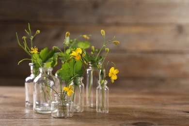 Celandine flowers in glass bottles on wooden table, space for text