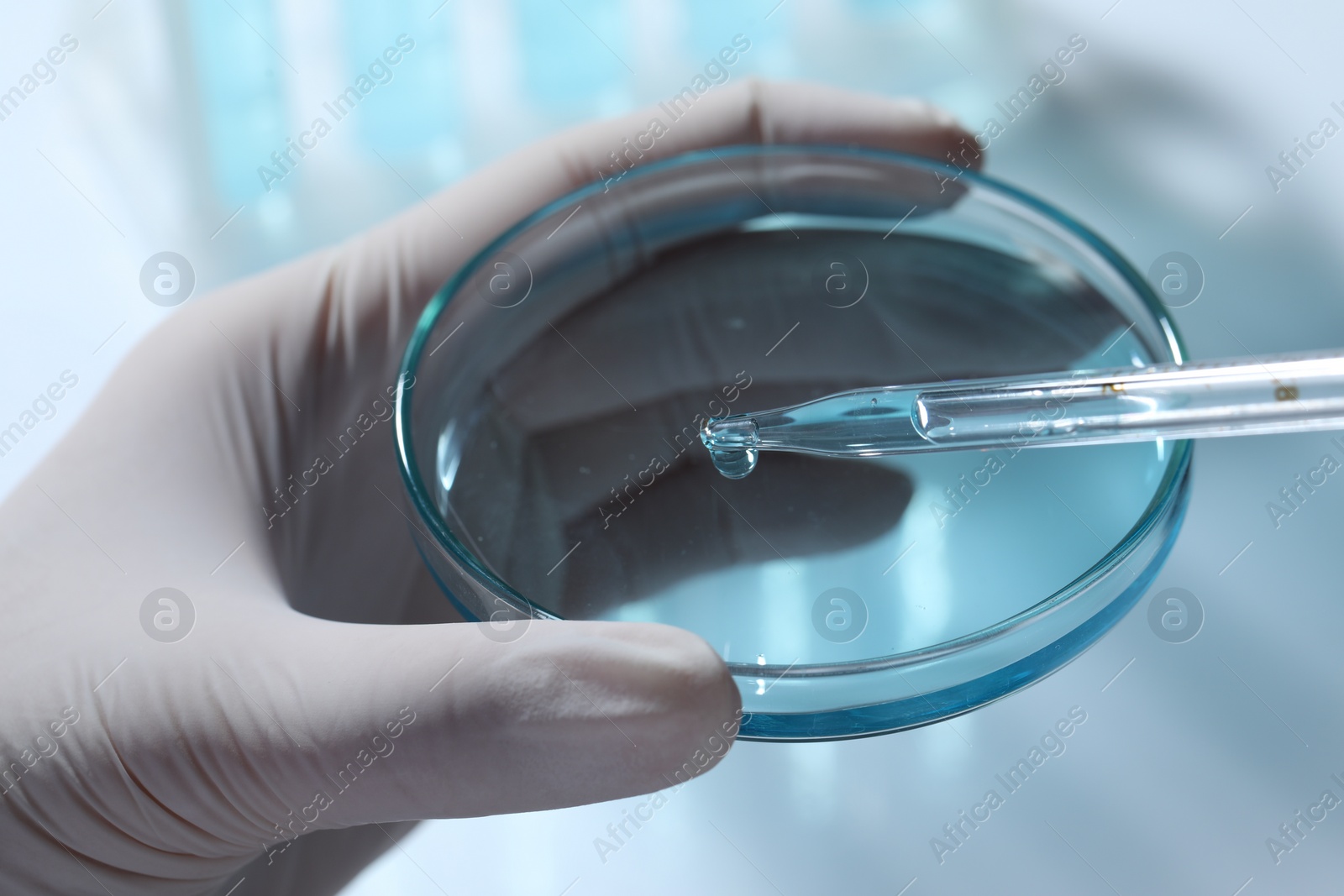 Photo of Scientist dripping liquid from pipette into petri dish on light background, closeup