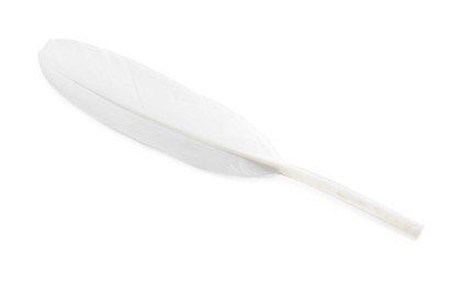 Photo of Beautiful fluffy bird feather isolated on white, top view