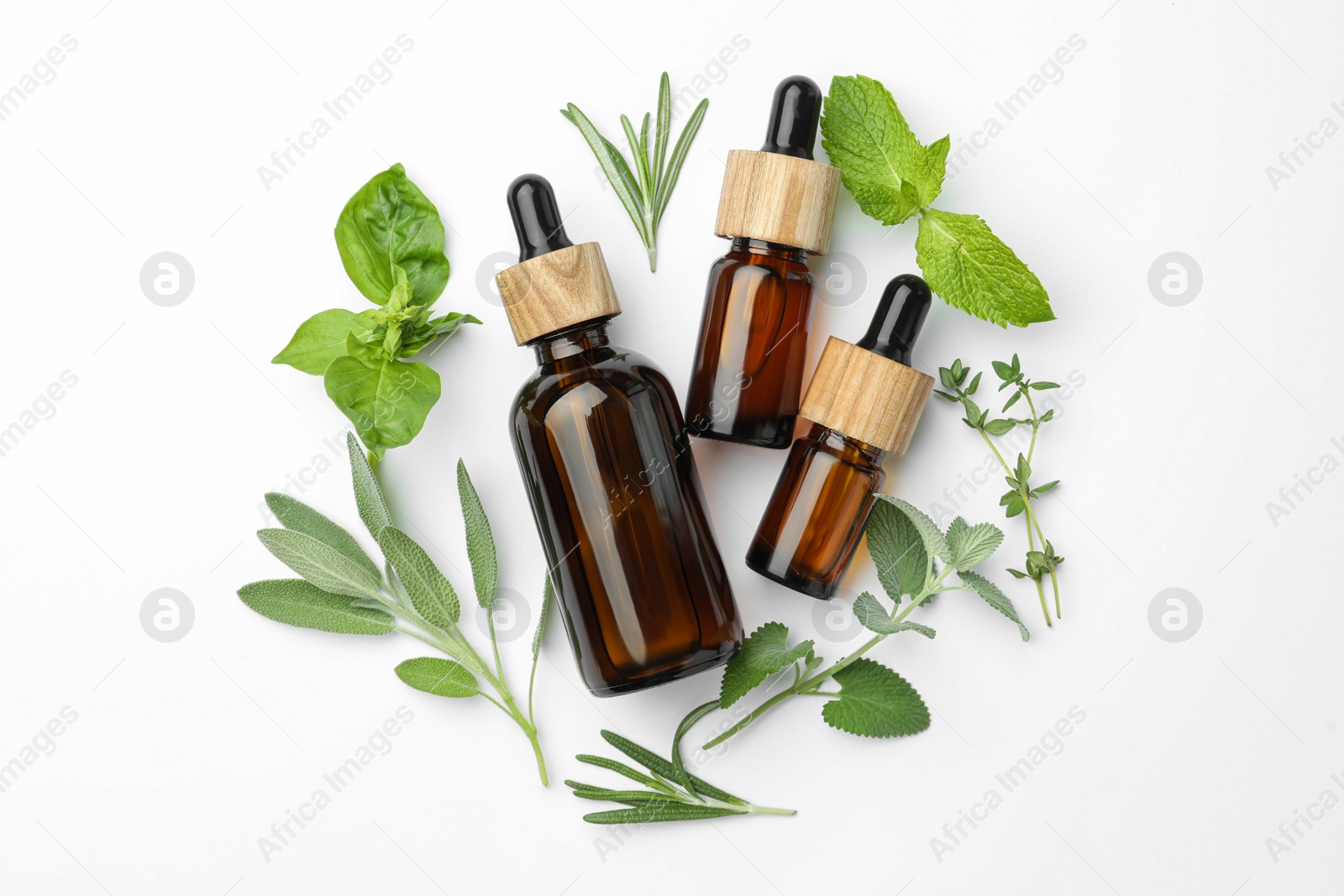 Photo of Bottles of essential oil and fresh herbs on white background, flat lay