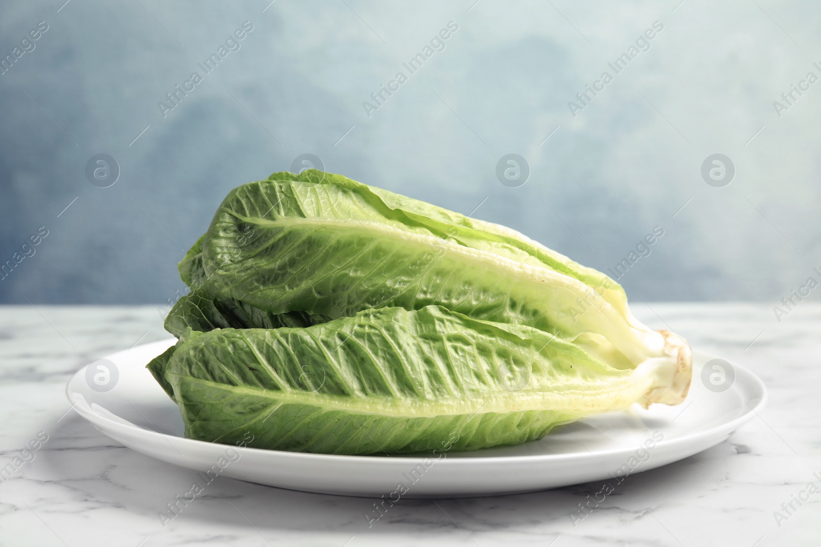 Photo of Plate with fresh ripe cos lettuce on marble table