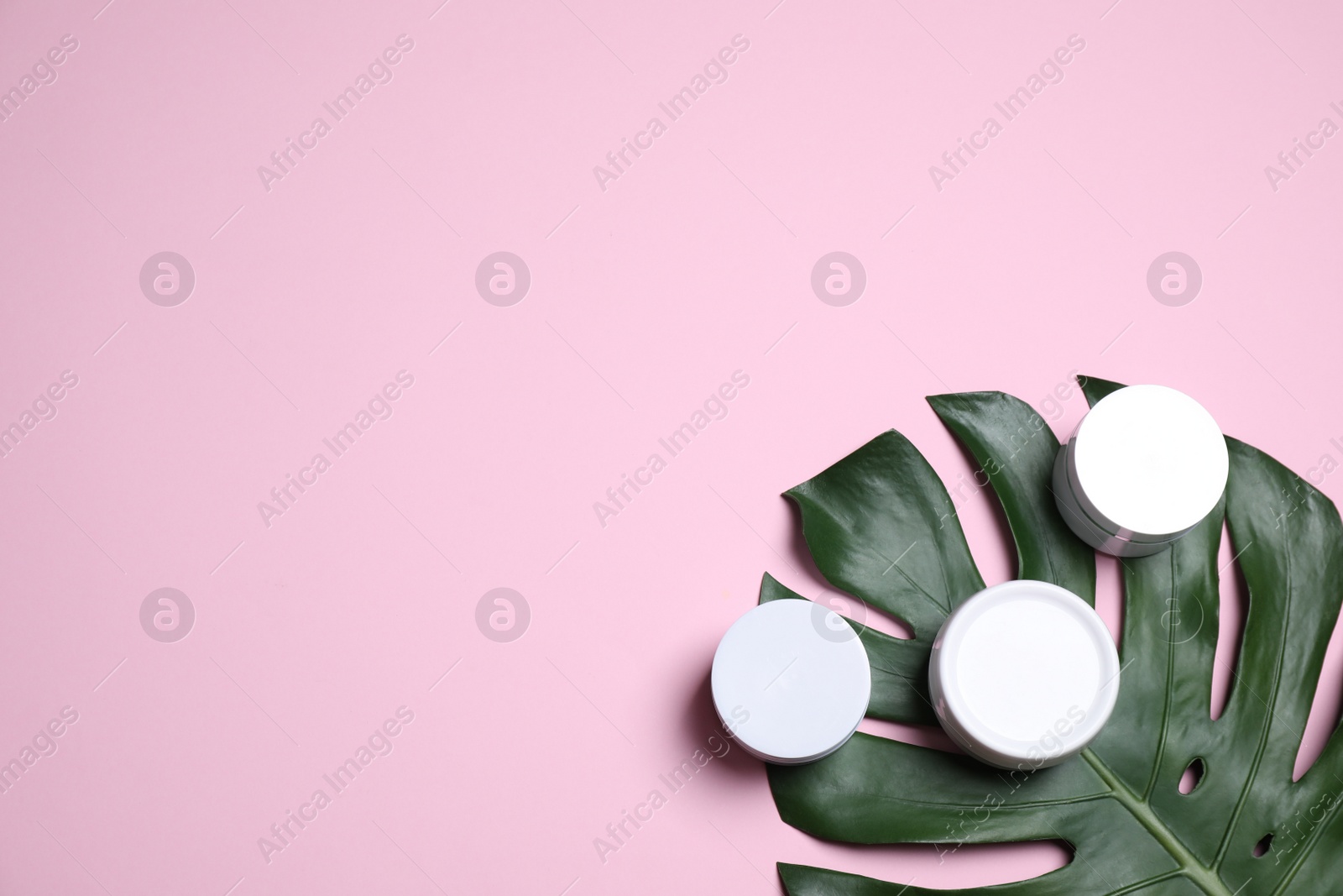 Photo of Tropical leaf and jars of cream on pink background, flat lay. Space for text