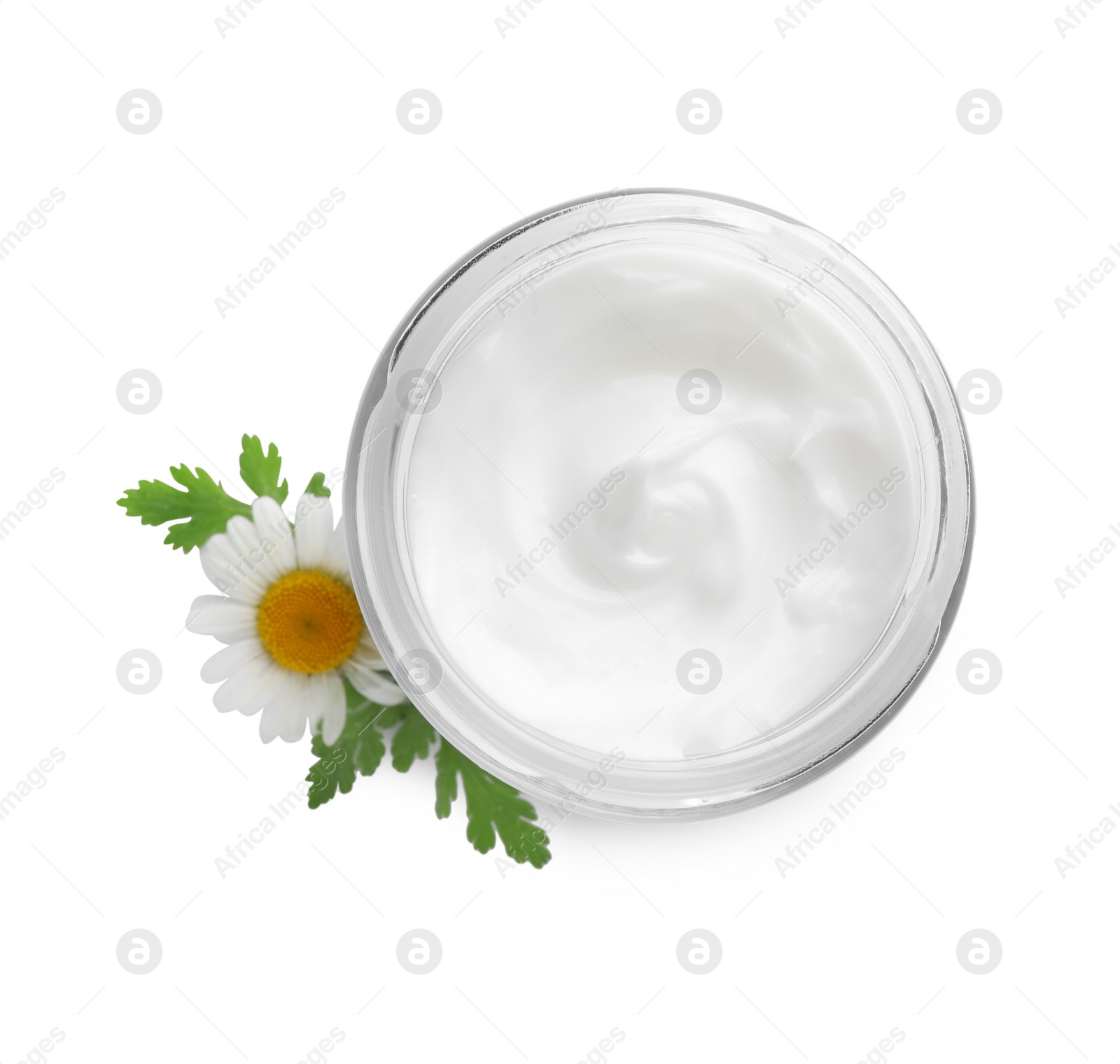 Photo of Jar of hand cream and chamomile on white background, top view