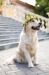 Photo of Adorable golden Retriever wearing wreath made of beautiful flowers outdoors