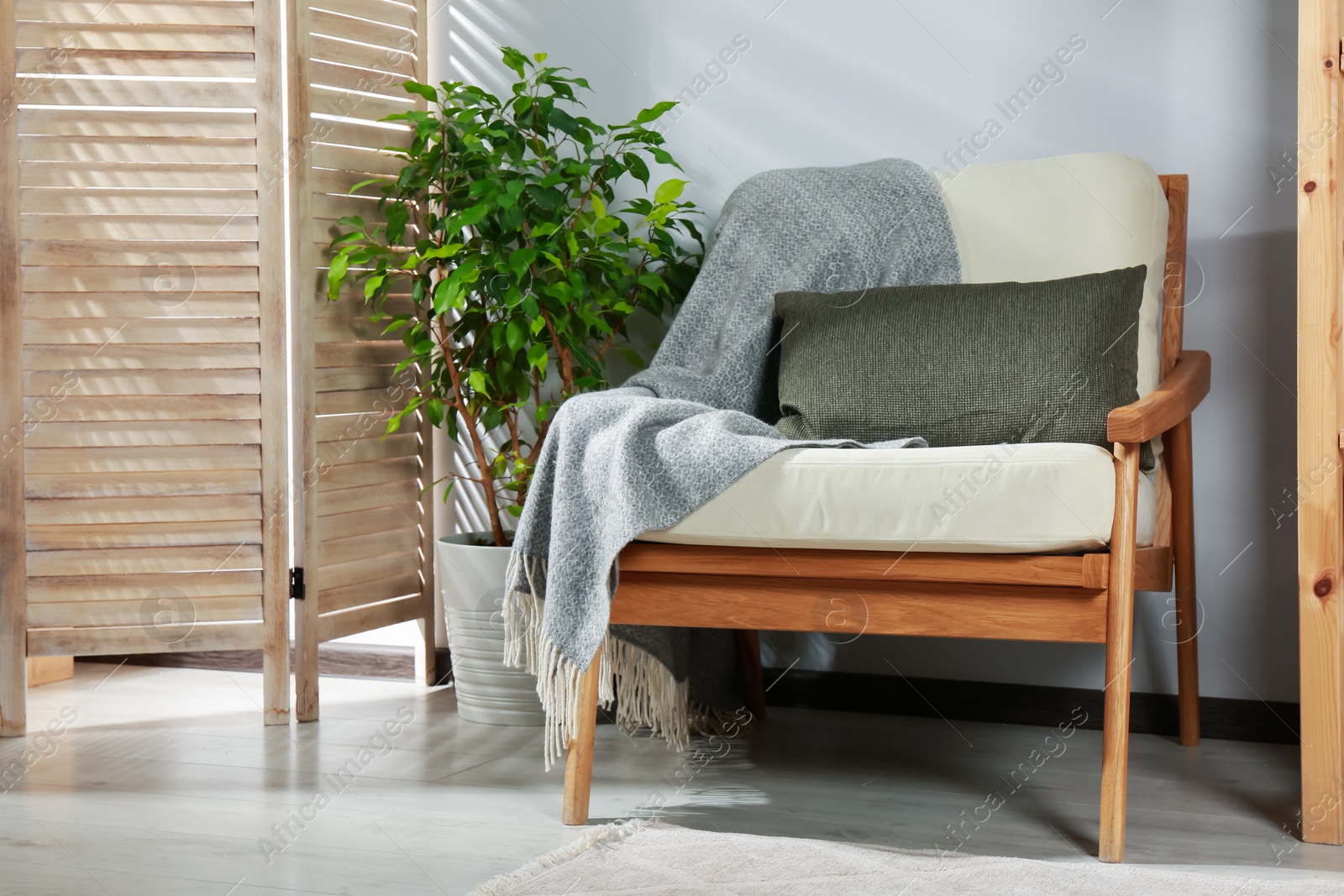 Photo of Wooden armchair, green houseplant and folding screen near light wall. Interior design