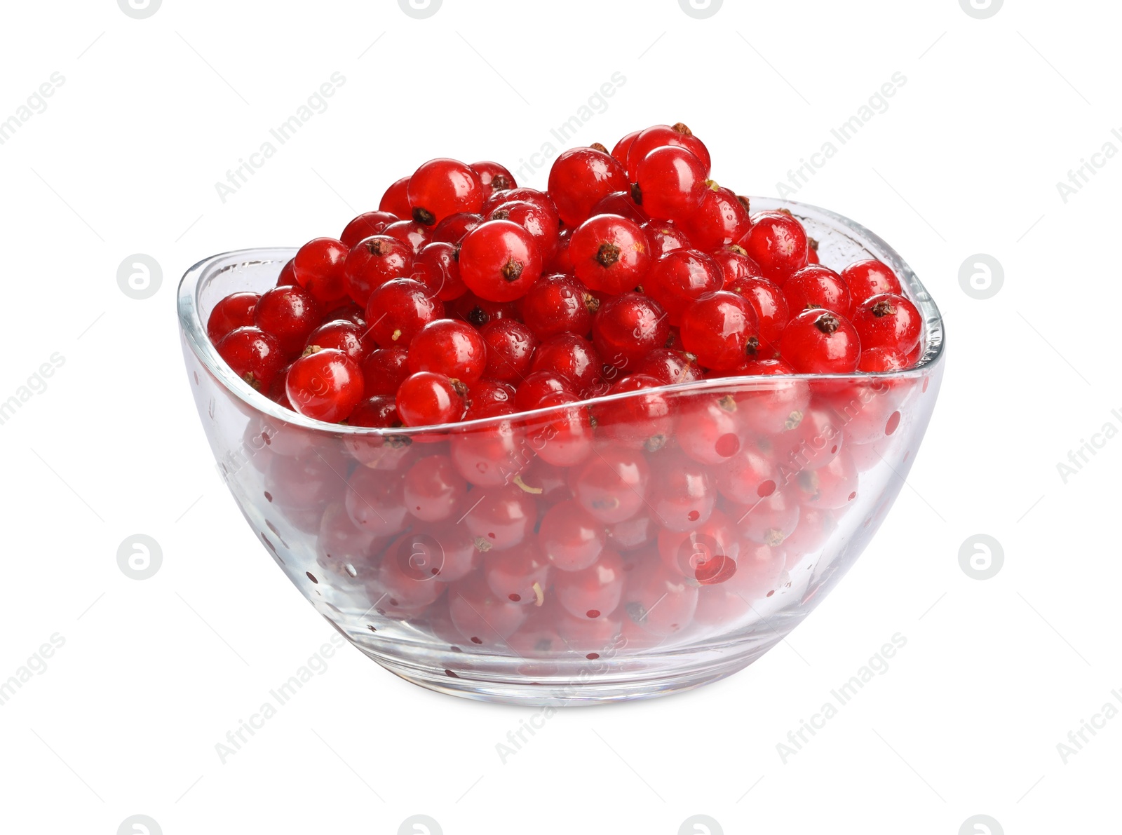 Photo of Wet ripe red currants in glass bowl isolated on white